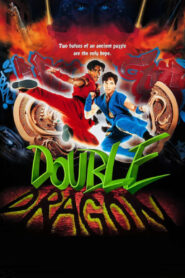 Double Dragon 1994