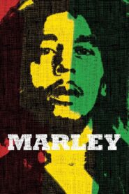 Marley 2012