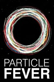 Particle Fever 2013