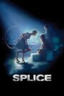 Splice 2010