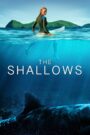 The Shallows 2016