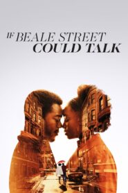 If Beale Street Could Talk 2018