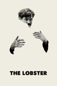 The Lobster 2015