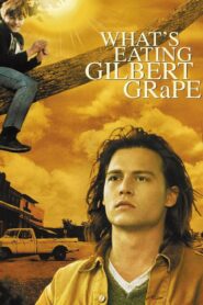 What’s Eating Gilbert Grape 1993