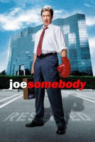 Joe Somebody 2001