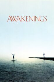 Awakenings 1990