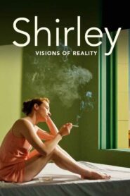 Shirley: Visions of Reality 2013