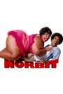 Norbit 2007