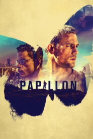 Papillon 2017