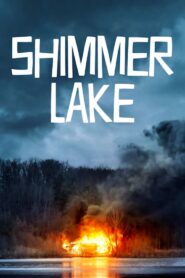 Shimmer Lake 2017