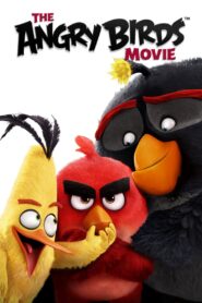 The Angry Birds Movie 2016