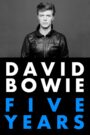 David Bowie: Five Years 2013