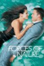 Forces of Nature 1999