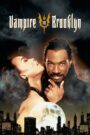 Vampire in Brooklyn 1995