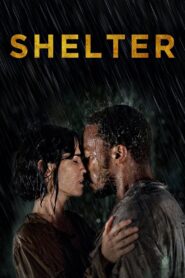 Shelter 2014