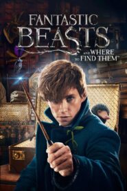 Fantastic Beasts and Where to Find Them 2016