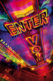 Enter the Void 2009