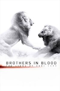 Brothers in Blood: The Lions of Sabi Sand 2015