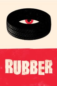 Rubber 2010