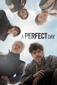 A Perfect Day 2015