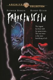 Frankenstein 1993