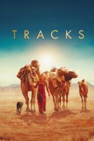 Tracks 2013