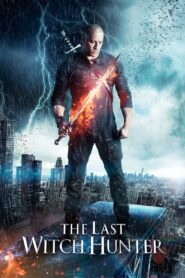 The Last Witch Hunter 2015