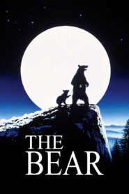 The Bear 1988