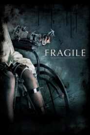 Fragile 2005