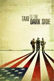 Taxi to the Dark Side 2008