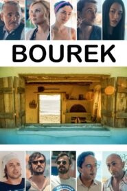 Bourek 2016