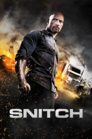 Snitch 2013