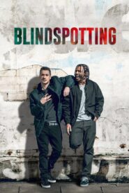 Blindspotting 2018