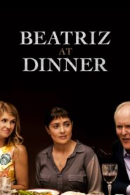 Beatriz at Dinner 2017