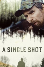 A Single Shot 2013